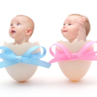 babies in eggs on white background